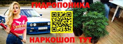 jwh Свободный