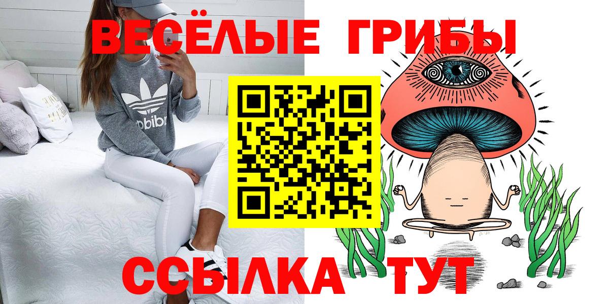 Тайшет  Псилоцибиновые грибы Psilocybine cubensis  Вход с VPN 